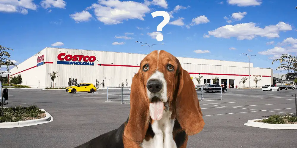 Costco Pet Policy: Complete Guide for Shoppers with Animals