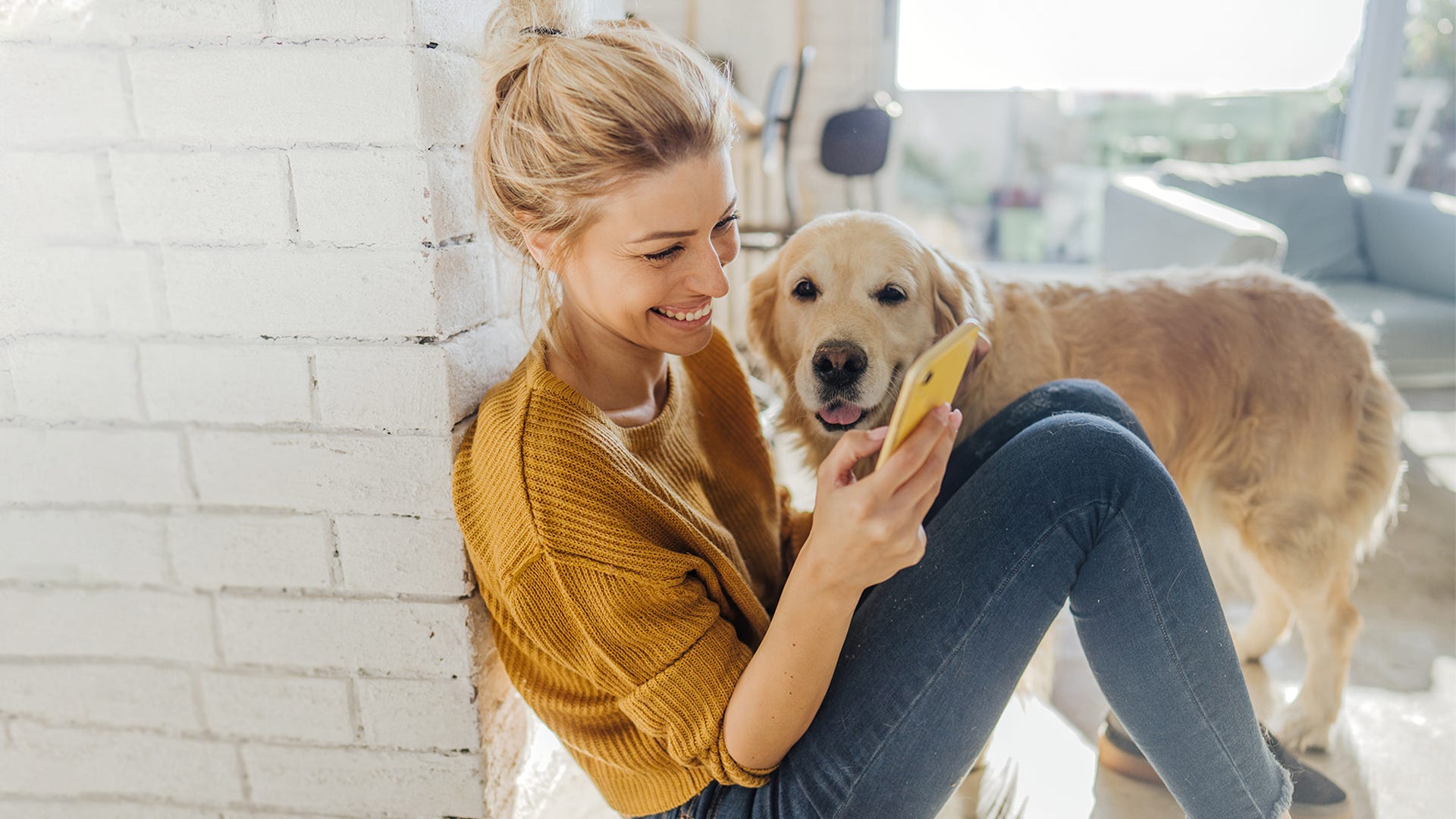 Borax Safety: What Pet Owners Need to Know