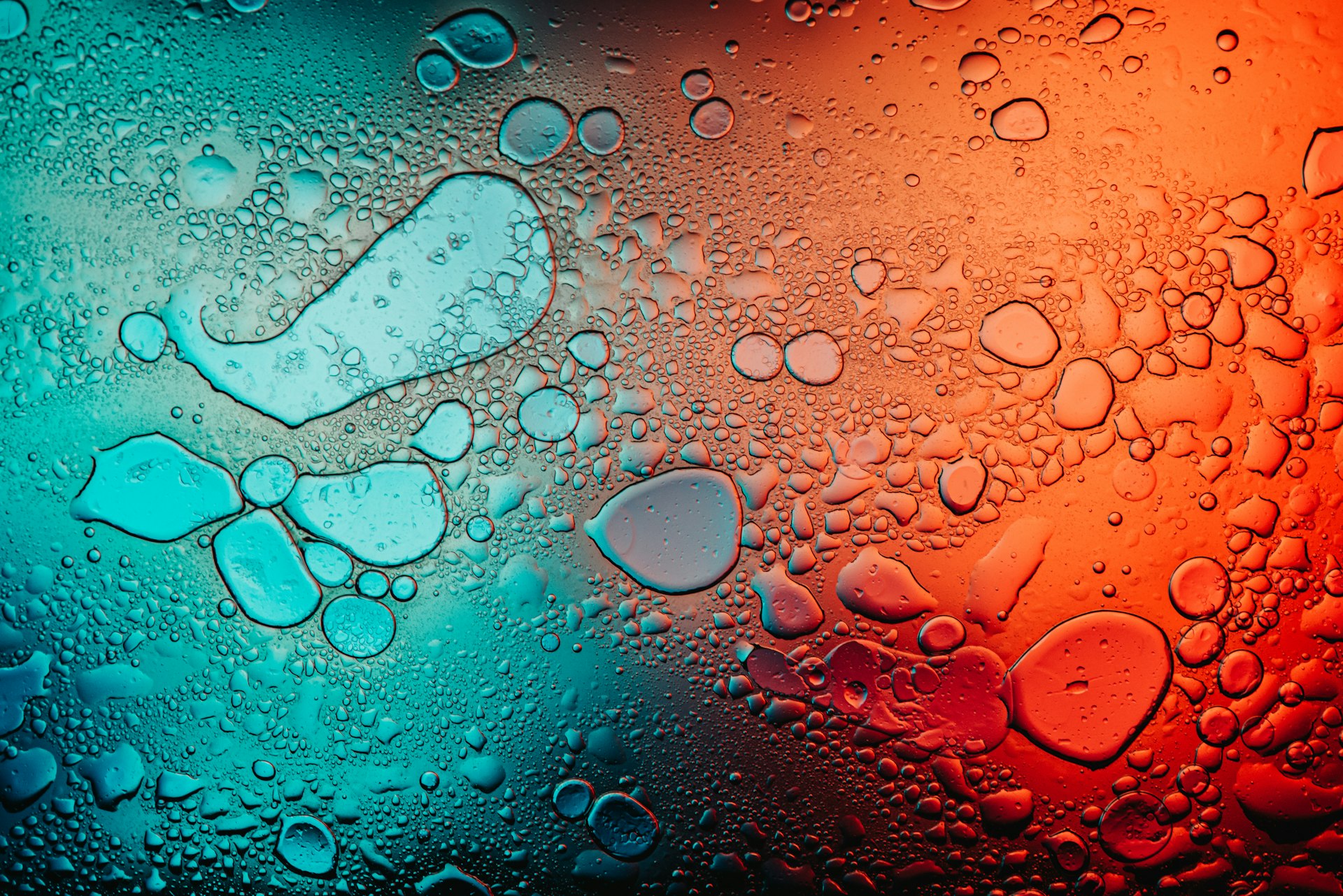 Unlocking Gut Health: The Comprehensive Benefits of Prebiotic & Probiotic Beverages