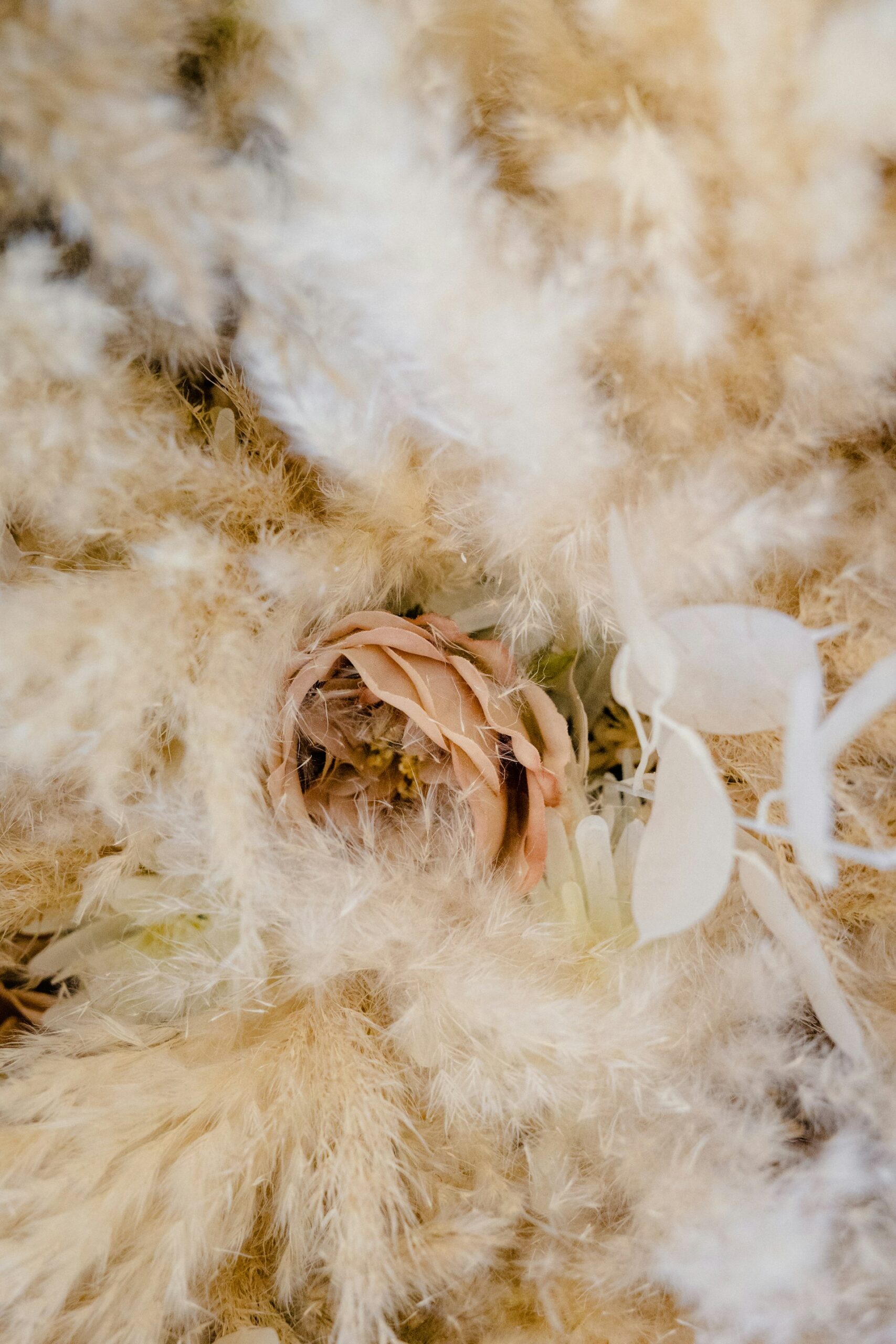 Choosing Between Organic Cotton and Recycled Fabrics: Smart, Sustainable Fashion Decisions