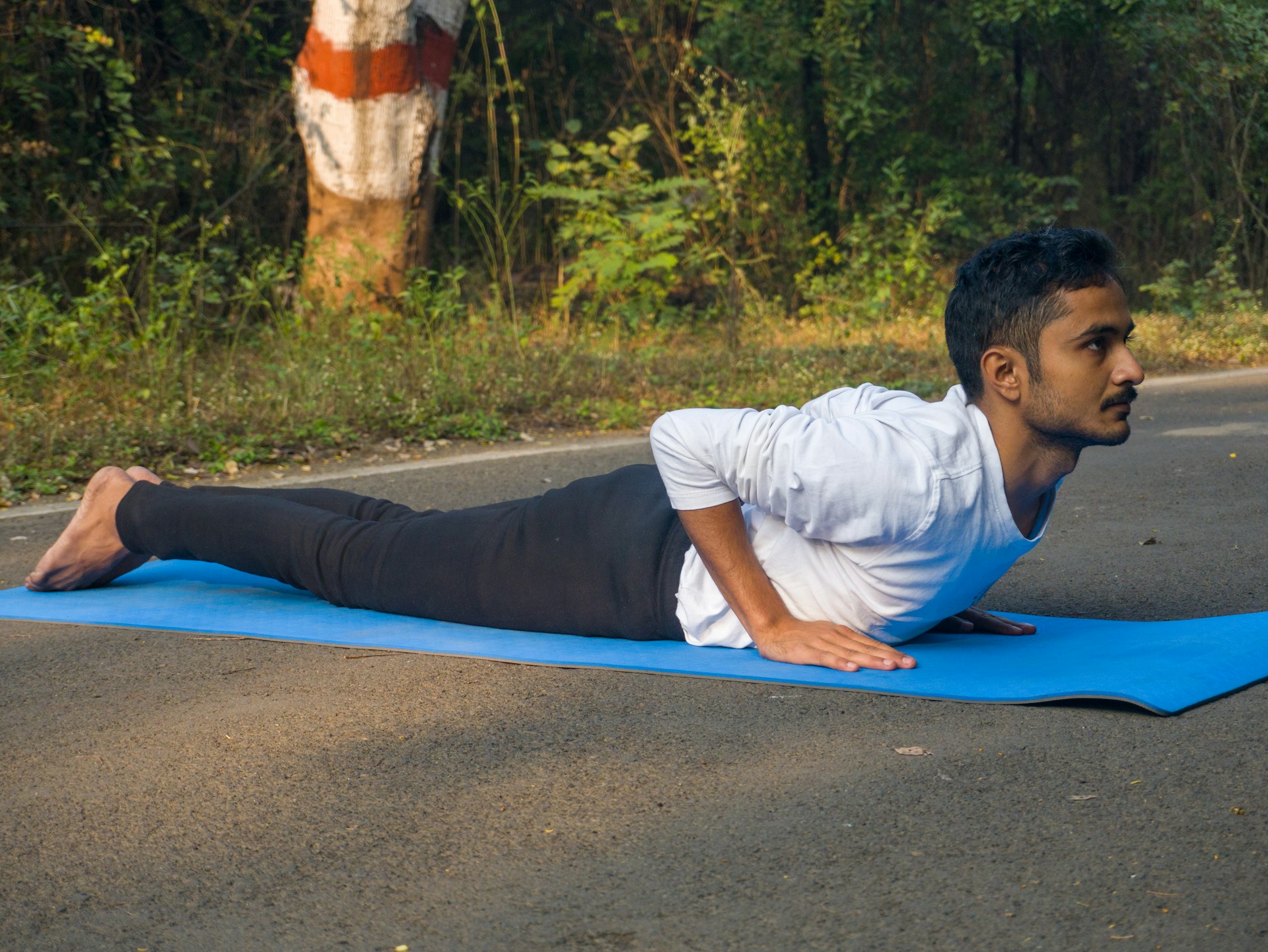 The Role of Yoga in Managing Chronic Diseases: Evidence, Implementation, and Practical Guidance