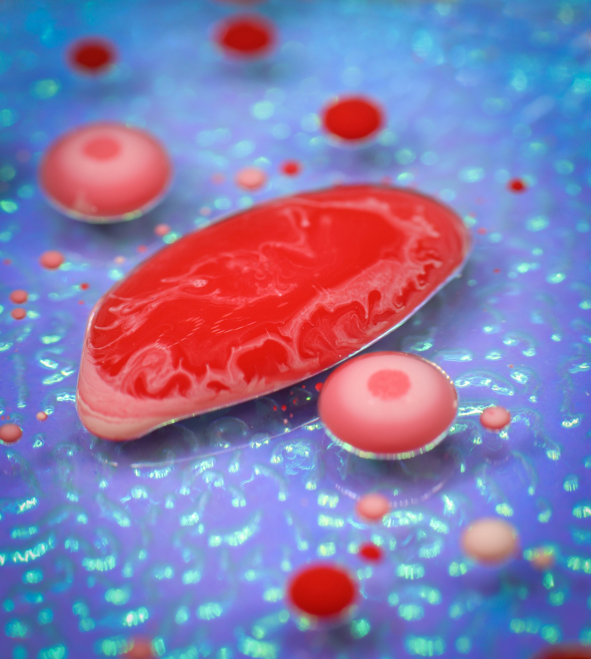 Unlocking Digestive Wellness: The Evidence-Based Role of Probiotics