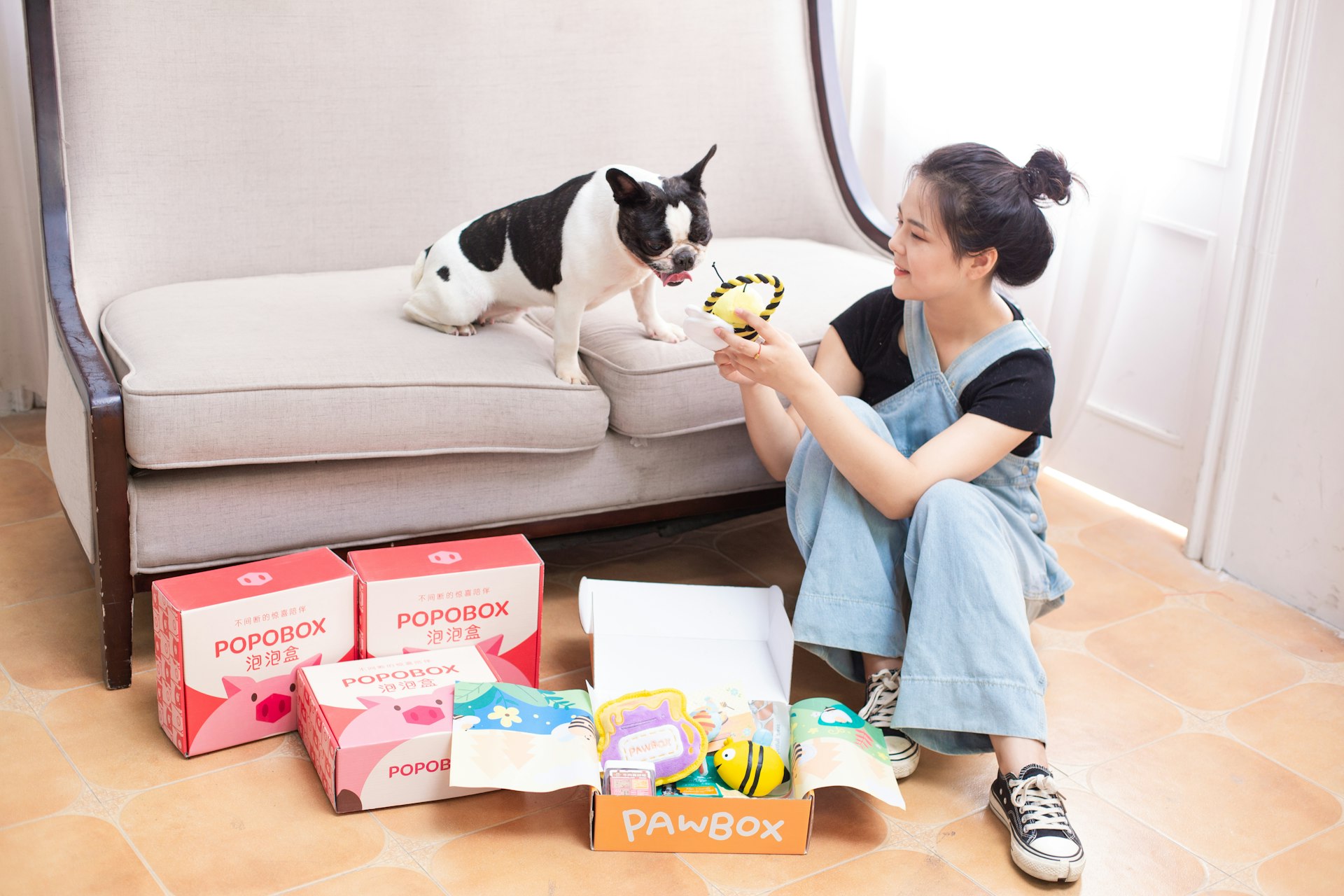 A Complete Guide to Pet-Safe Cleaning Products for Every Household